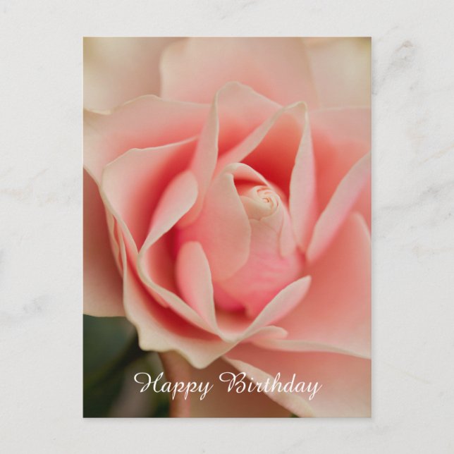 Happy Birthday Rose Postcard Postkarte (Vorderseite)
