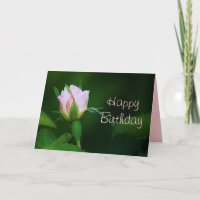 Happy Birthday Rosenknospe