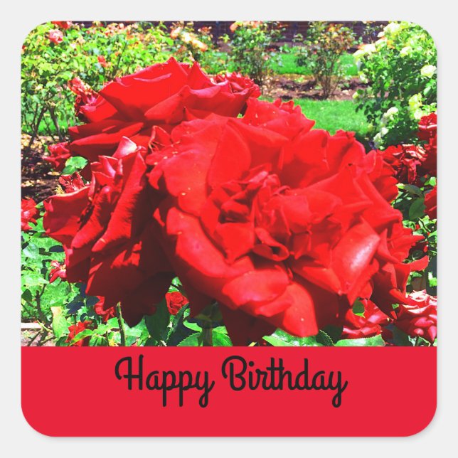 Happy Birthday Rote Rose #1 Stickers (Vorderseite)