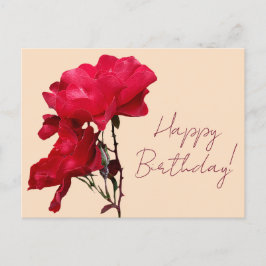 Happy Birthday rote Rose Blume boho blumenhübsch Postkarte