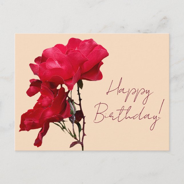 Happy Birthday rote Rose Blume boho blumenhübsch Postkarte (Vorderseite)
