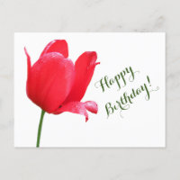 Happy Birthday Rote Tulpe minimalistisch Blumen Bo