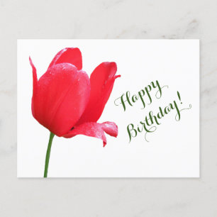 Happy Birthday Rote Tulpe minimalistisch Blumen Bo Postkarte