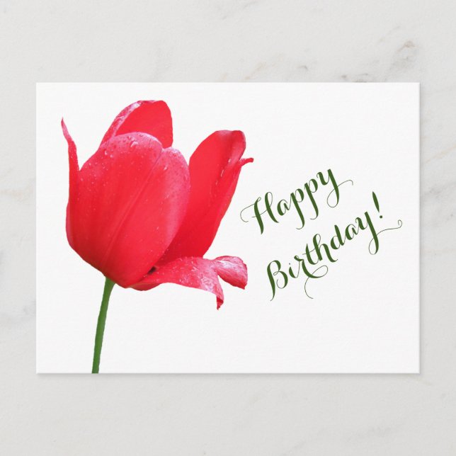 Happy Birthday Rote Tulpe minimalistisch Blumen Bo Postkarte (Vorderseite)