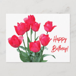 Happy Birthday Rote Tulpen farbenfroh leuchtend bl Postkarte