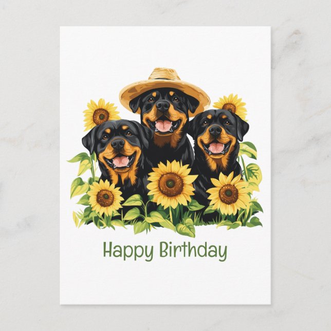 Happy Birthday Rottweiler Hunde Sonnenblumen Postkarte (Vorderseite)