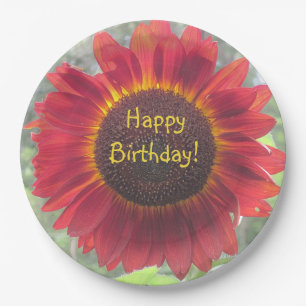 Happy Birthday Rusty Sonnenblume Pappteller