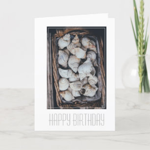 HAPPY BIRTHDAY "SAASHELLS"-KARTE KARTE