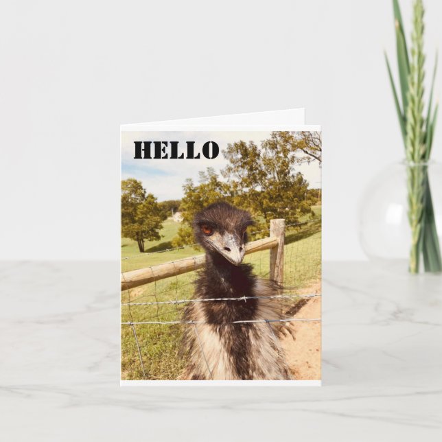 "HAPPY BIRTHDAY", SAYS OSTRICH KARTE (Vorderseite)