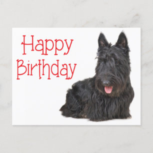 Happy Birthday Scottish Terrier Puppy Postcard Postkarte