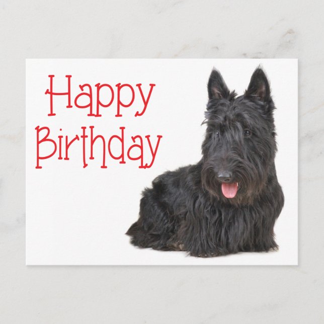 Happy Birthday Scottish Terrier Puppy Postcard Postkarte (Vorderseite)