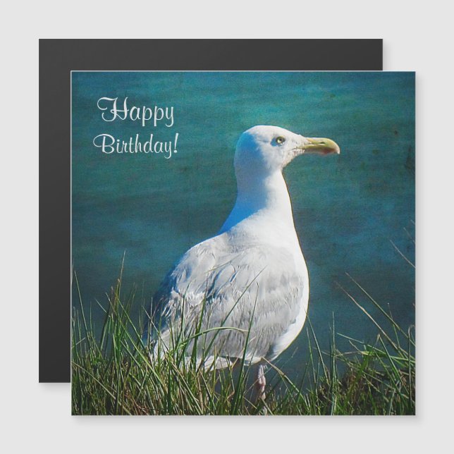 Happy Birthday Seagull Magnetkarte (Vorne/Hinten)