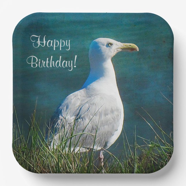 Happy Birthday Seagull Pappteller (Vorderseite)