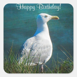 Happy Birthday Seagull Square Stickers