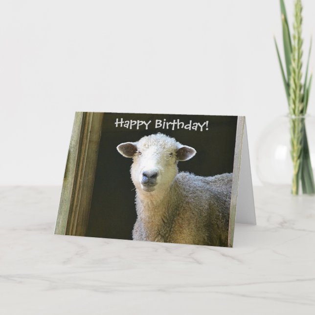 Happy Birthday Sheep Karte (Vorderseite)