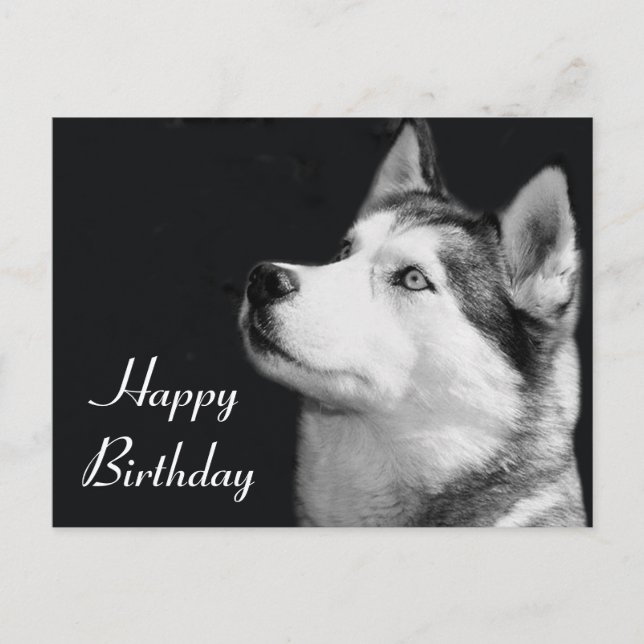Happy Birthday Siberian Husky Welpe Dog Post Card Postkarte (Vorderseite)