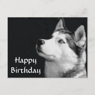 Happy Birthday Siberian Husky Welpe Dog Post Card Postkarte