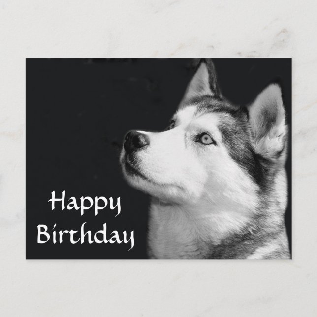 Happy Birthday Siberian Husky Welpe Dog Post Card Postkarte (Vorderseite)