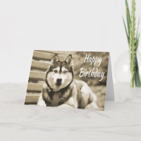 Happy Birthday Siberischer Husky Welpenhund