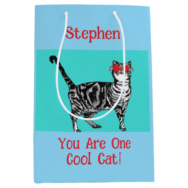 Happy Birthday Sie Cool Tabby Cat Mens Husband Mittlere Geschenktüte (Vorderseite)