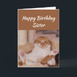Happy Birthday Sister Celebrate es auf jede Weise  Karte<br><div class="desc">Herzlichen Glückwunsch zum Geburtstag Sister Celebrate es auf jede Art und Weise,  wie Sie mit einer niedlich entspannenden Katze Funny Tier Geburtstag Gruß,  um sich anzupassen</div>