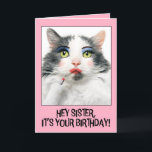 Happy Birthday Sister Funny Cat in Make Up Feiertagskarte<br><div class="desc">Erzähl deiner Schwester,  dass sie sich "puppt" und ihren Tag genießen kann,  um mit dieser unglaublich witzig Katze zu glänzen und zu erleben,  in lebendigem Make-up,  der gerade einen roten Lippenstift aufgetragen hat,  wenn du ihnen einen guten Geburtstag wünschen willst!</div>