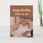 Happy Birthday Sister-in-law Celebrate Funny Cat Karte<br><div class="desc">Herzlichen Glückwunsch zum Geburtstag Sister-in-Schwiegerelich feiern Sie es auf jede Art und Weise gewollt mit einer niedlich entspannenden Cat Funny Tier Geburtstag Gruß,  um sich anzupassen</div>