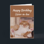 Happy Birthday Sister-in-law Celebrate Funny Cat Karte<br><div class="desc">Herzlichen Glückwunsch zum Geburtstag Sister-in-Schwiegerelich feiern Sie es auf jede Art und Weise gewollt mit einer niedlich entspannenden Cat Funny Tier Geburtstag Gruß,  um sich anzupassen</div>