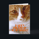 Happy Birthday Sister - Sweet Cat Karte<br><div class="desc">Wünschen Sie Ihrer Schwester ein "Happy Birthday",  mit dieser niedlichen Karte aus meiner "Kitty Koolness" Kollektion,  die ein hübsches orange-weißes Kätzchen enthält. Das Innere kann behalten werden,  wie es ist,  oder von Ihnen für diese zusätzliche Touch personalisiert werden. Foto nach Designer.</div>