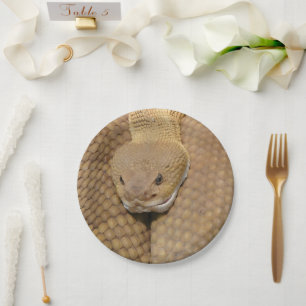 Happy Birthday Snake Party Teller