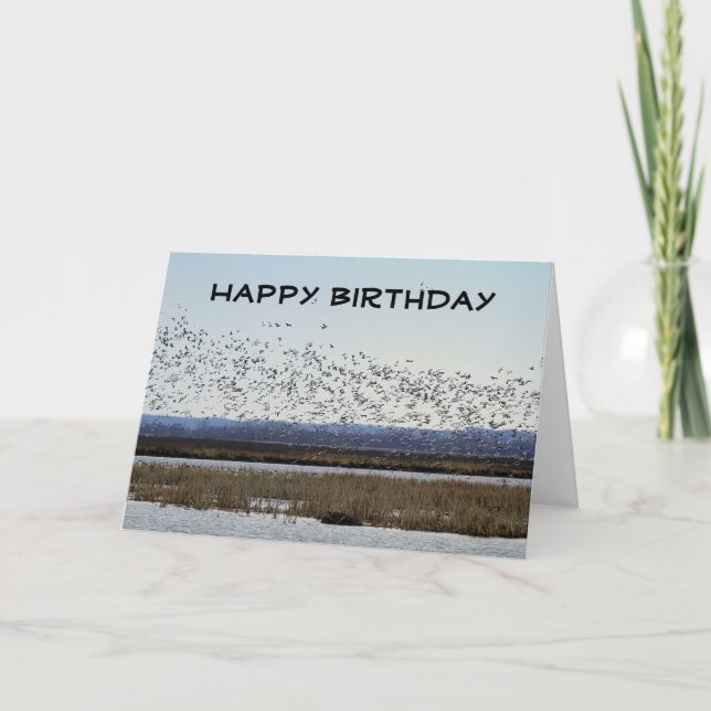 Happy Birthday Snow Geese bei Squaw Bake Refuge Karte (Vorderseite)