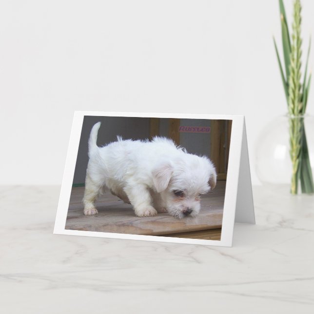 Happy Birthday Son Karte (Vorderseite)