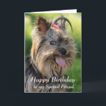 Happy Birthday Special Friend Fun Yorkie Dog Karte<br><div class="desc">Happy Birthday Special Friend Spaß Yorkie,  Yorkshire Terrier Dog</div>