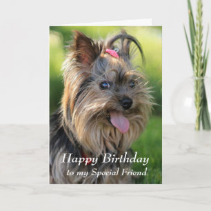 Happy Birthday Special Friend Fun Yorkie Dog Karte