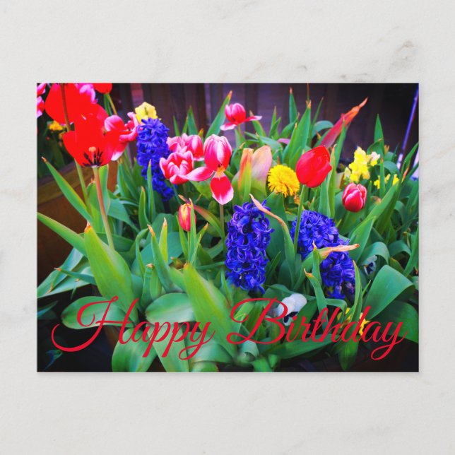 Happy Birthday Spring Flowers #3 Postcard Postkarte (Vorderseite)