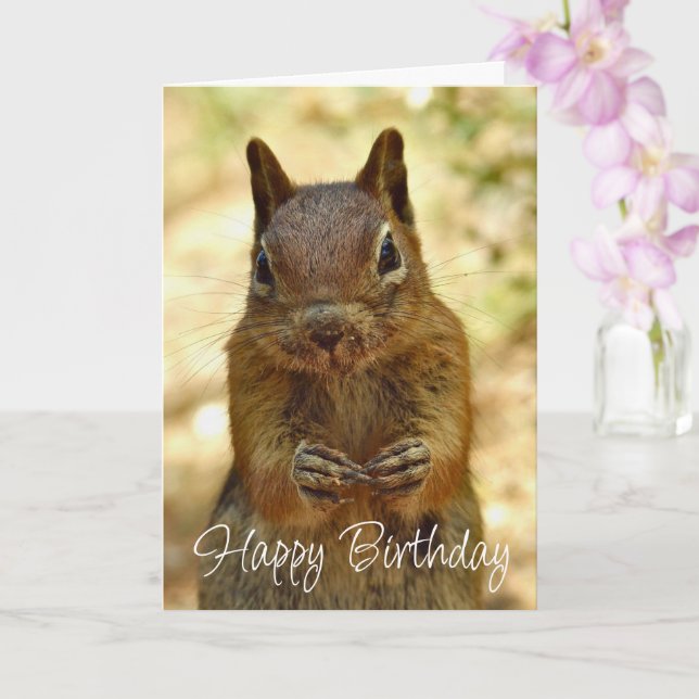 Happy Birthday Squirrel Looking for Cake Karte (Orchidee)