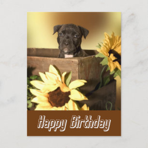 Happy Birthday Staffordshire Terrier Dog Post Card Postkarte