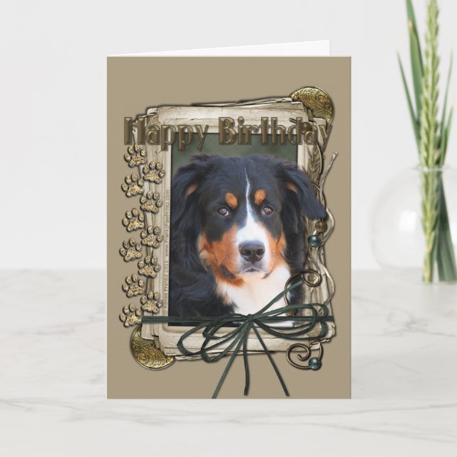 Happy Birthday - Stone Paws - Bernese Mountain Dog Karte (Vorderseite)