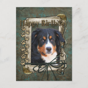 Happy Birthday - Stone Paws - Bernese Mountain Dog Postkarte