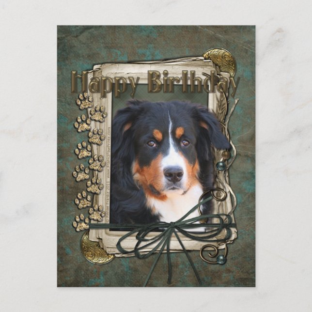 Happy Birthday - Stone Paws - Bernese Mountain Dog Postkarte (Vorderseite)