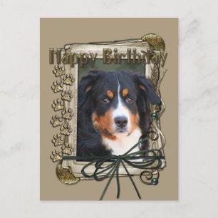 Happy Birthday - Stone Paws - Bernese Mountain Dog Postkarte