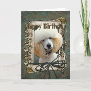 Happy Birthday - Stone Paws - Poodle - Apricot Karte