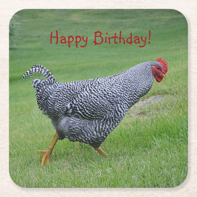 Happy Birthday Strolling Chicken Rechteckiger Pappuntersetzer (Vorderseite)