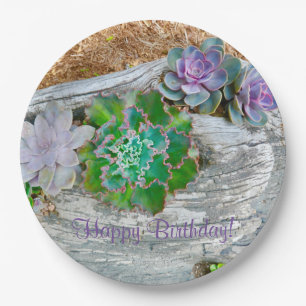 Happy Birthday Succulents auf Driftwood Pappteller