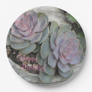 Happy Birthday Sukkulent Pappteller