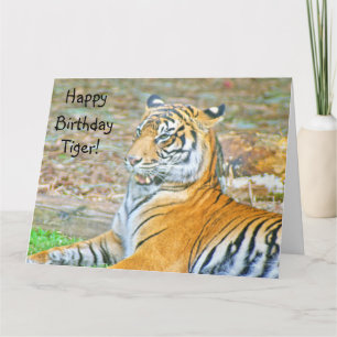 Happy Birthday Tiger Karte