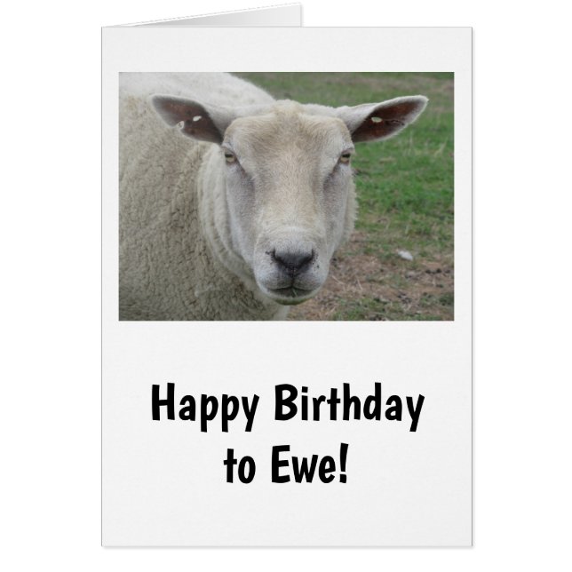 Happy Birthday to Ewe Card (Vorne)