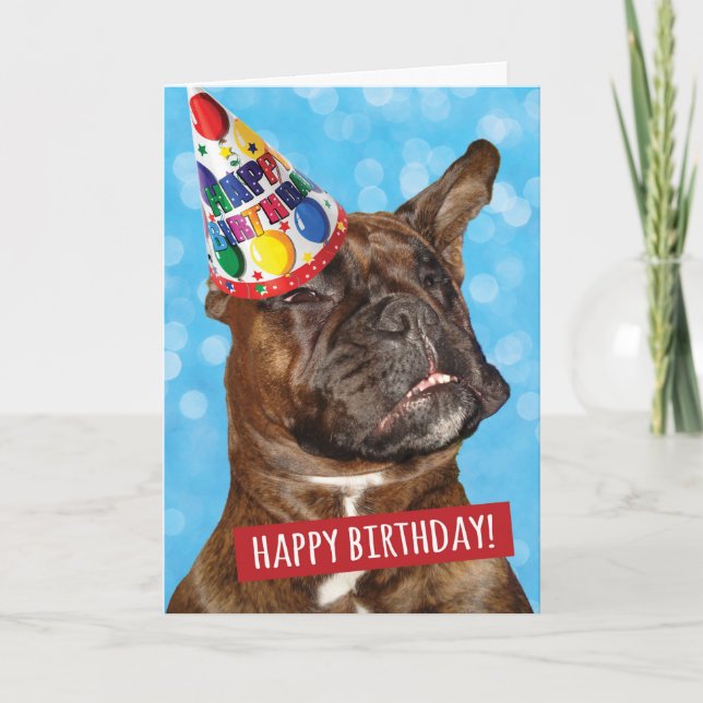 Happy Birthday to Party Animal Boxer Dog Karte (Vorderseite)