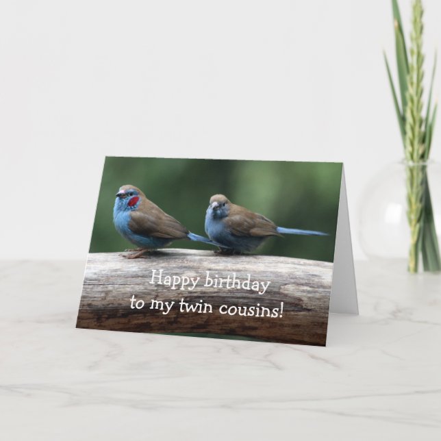 Happy birthday to the twins birthday Card Karte (Vorderseite)