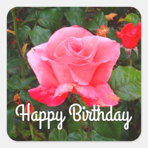 Happy Birthday Touch Class Rose #1 Stickers